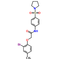 2-(2-Bromo-4-methylphenoxy)-N-[4-(1-pyrrolidinylsulfonyl)phenyl]acetamide Structure