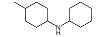 N-cyclohexyl-4-methylcyclohexan-1-amine Structure