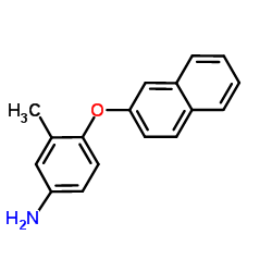 3-Methyl-4-(2-naphthyloxy)aniline结构式