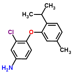 3-Chloro-4-(2-isopropyl-5-methylphenoxy)aniline结构式