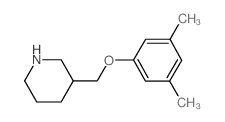 3-[(3,5-Dimethylphenoxy)methyl]piperidine结构式