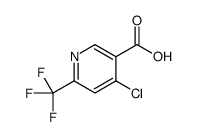 4-氯-6-(三氟甲基)烟酸结构式