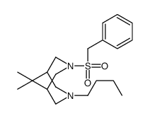 3-benzylsulfonyl-7-butyl-9,9-dimethyl-3,7-diazabicyclo[3.3.1]nonane Structure