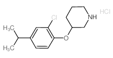 3-(2-Chloro-4-isopropylphenoxy)piperidine hydrochloride结构式