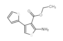 2-氨基-4-(2-噻吩基)噻吩-3-羧酸乙酯结构式