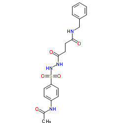 4-{2-[(4-Acetamidophenyl)sulfonyl]hydrazino}-N-benzyl-4-oxobutanamide Structure