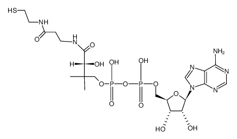 3'-去磷酸辅酶 A结构式