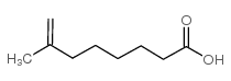 7-methyl-7-octenoic acid结构式