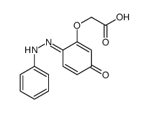 2-[3-oxo-6-(phenylhydrazinylidene)cyclohexa-1,4-dien-1-yl]oxyacetic acid Structure