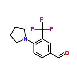 4-PYRROLIDIN-1-YL-3-TRIFLUOROMETHYL-BENZALDEHYDE picture