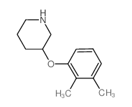 3-(2,3-Dimethylphenoxy)piperidine Structure