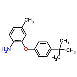 4-Methyl-2-[4-(2-methyl-2-propanyl)phenoxy]aniline Structure