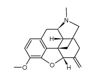 (4R,4aR,7aS,12bS)-9-methoxy-3-methyl-7-methylene-2,3,4,4a,-5,6,7,7a-octahydro-1H-4,12-methanobenzofuro[3,2-e]isoquinoline Structure