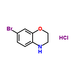 7-Bromo-3,4-dihydro-2H-benzo[b][1,4]oxazine hydrochloride Structure