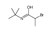 2-Bromo-N-(1,1-dimethylethyl)propanamide picture