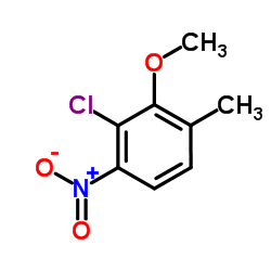 2-Chloro-3-methoxy-4-methyl-1-nitrobenzene结构式