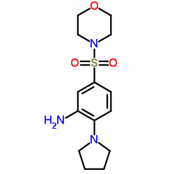 5-(MORPHOLINE-4-SULFONYL)-2-PYRROLIDIN-1-YL-PHENYLAMINE图片