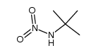 N-nitro-tert-butylamine Structure