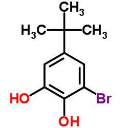 3-bromo-5-tert-butylbenzene-1,2-diol Structure