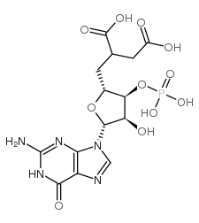 2'-O-monosuccinylguanosine 3':5'-*cyclic monophos结构式