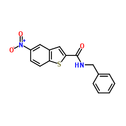 N-Benzyl-5-nitro-1-benzothiophene-2-carboxamide picture