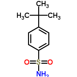 4-tert-Butylbenzenesulfonamide picture