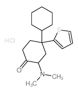3-chloro-1-(2,4-dichlorophenyl)-4-[(4-ethoxyphenyl)amino]pyrrole-2,5-dione结构式