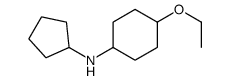 N-cyclopentyl-4-ethoxycyclohexan-1-amine结构式