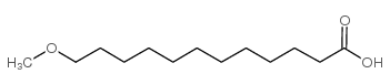 12-methoxydodecanoic acid structure