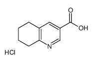 5,6,7,8-tetrahydroquinoline-3-carboxylic acid,hydrochloride Structure
