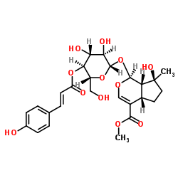 4'-O-反式对香豆酰玉叶金花甙酸甲酯图片