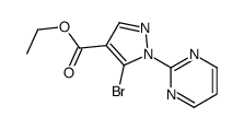 ETHYL5-BROMO-1-(PYRIMIDIN-2-YL)-1H-PYRAZOLE-4-CARBOXYLATE picture