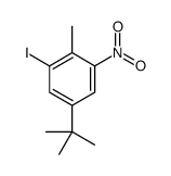 5-tert-butyl-1-iodo-2-methyl-3-nitrobenzene结构式