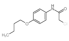 N-(4-butoxyphenyl)-2-chloro-acetamide picture