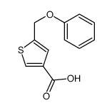 5-(phenoxymethyl)thiophene-3-carboxylic acid结构式