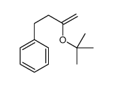 3-[(2-methylpropan-2-yl)oxy]but-3-enylbenzene Structure