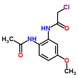 N-(2-ACETYLAMINO-5-METHOXY-PHENYL)-2-CHLORO-ACETAMIDE structure