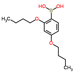 2,4-二丁氧基苯硼酸结构式