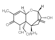 去环氧脱氧雪腐镰刀菌醇结构式