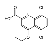 5,8-dichloro-4-ethoxyquinoline-2-carboxylic acid结构式