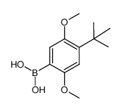 4-tert-butyl-2,5-dimethoxyphenylboronic acid结构式