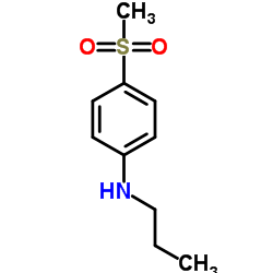 1019472-02-6 structure