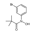 N-(3-bromophenyl)-N-hydroxy-2,2-dimethylpropanamide Structure