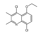 4,8-dichloro-5-ethoxy-2,3-dimethylquinoline Structure
