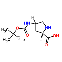 (2R,4S)-4-((叔丁氧基羰基)氨基)吡咯烷-2-羧酸结构式