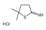 5,5-dimethylthiolan-2-imine,hydrochloride Structure