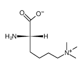 N-EPSILON,N-EPSILON,N-EPSILON-TRIMETHYLLYSINE Structure