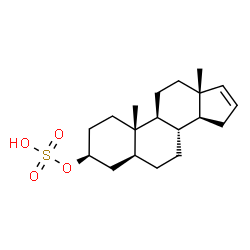 androst-16-en-3-ol sulfoconjugate结构式