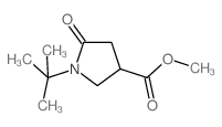METHYL 1-TERT-BUTYL-5-OXO-3-PYRROLIDINECARBOXYLATE结构式