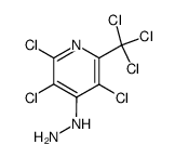 3,5,6-trichloro-4-hydrazino-2-trichloromethylpyridine结构式